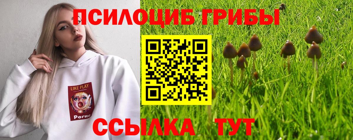 Галлюциногенные грибы Cubensis  Вход с VPN  Галлюциногенные грибы ЛСД  Минусинск 